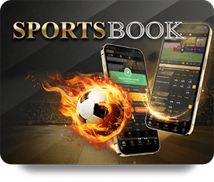 BK8 Top Bet: A Trusted Platform for Online Gamblers